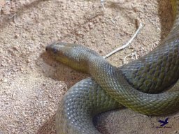 Haus des Meeres 4.02.2026